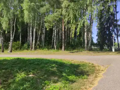 Прибрежный Ярбург - 36