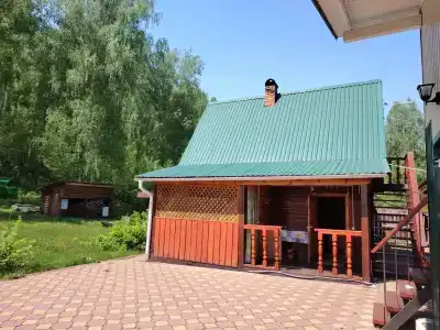 Берёзка - 31