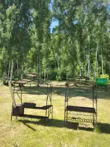 Берёзка - 41