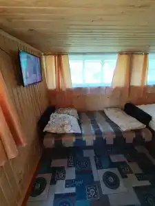 Берёзка - 43