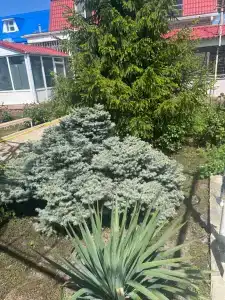 Веритас - 0