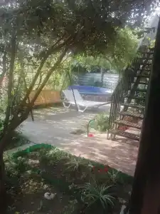 Пальмира - 6