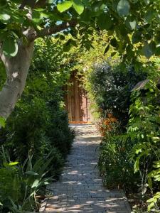 Green House - 0