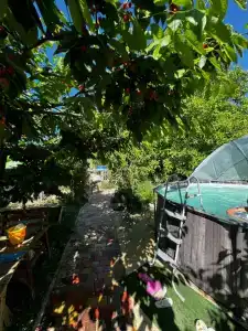 Green House - 1