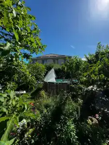 Green House - 2