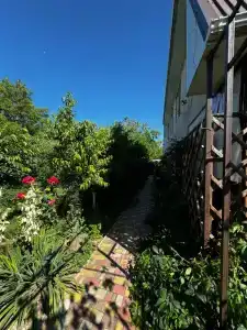 Green House - 3