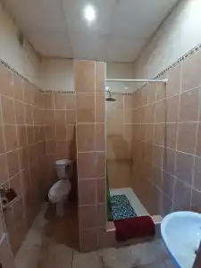 Горизонт - 10