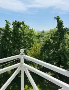 у Ларисы - 11
