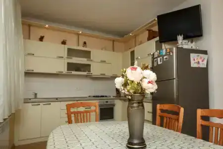 Клевер - 1