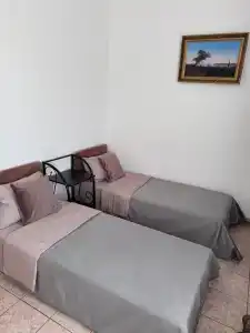 Фламинго - 24
