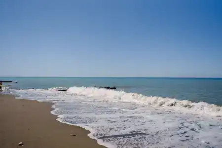 Дерево - 21