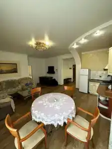 Спутник - 58