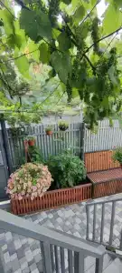 Каминчик - 114
