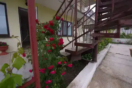 Ускут - 1