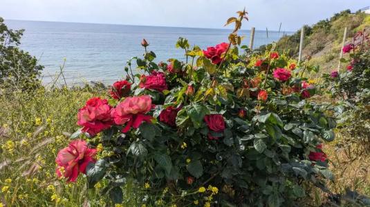 Маре Инфинити - 8