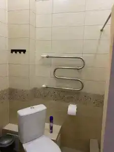 Мята - 33