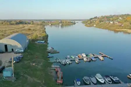 Золотая рыбка - 1