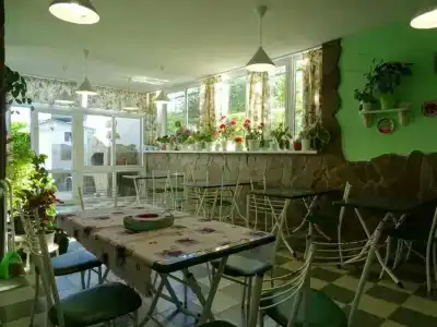Элегия - 9