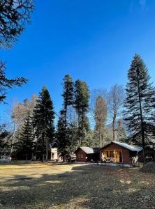 Forest yard - 29