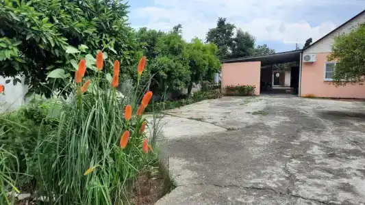 Гаянэ - 11