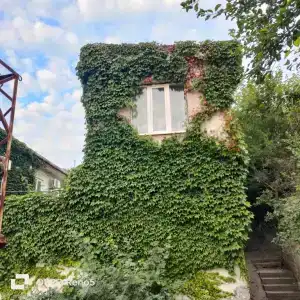 Терраса - 43