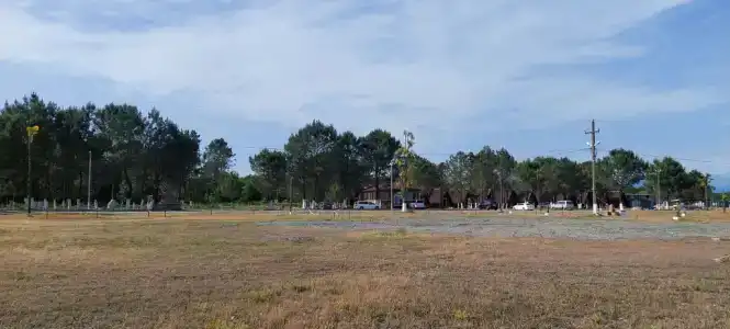 Сосновый бор - 5