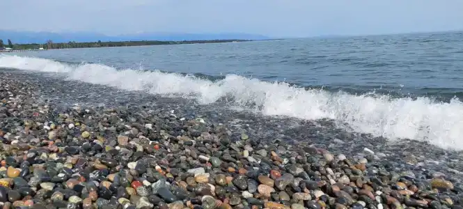 Сосновый бор - 13