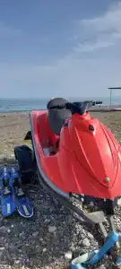 Сосновый бор - 17