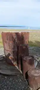 Сосновый бор - 29