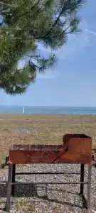 Сосновый бор - 35