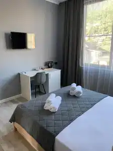 Palm beach - 7