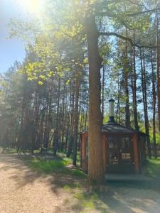 ПриродаРОДА - 6