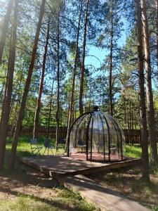 ПриродаРОДА - 7