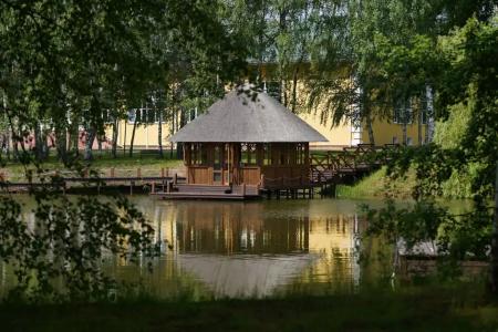 Басовское - 10