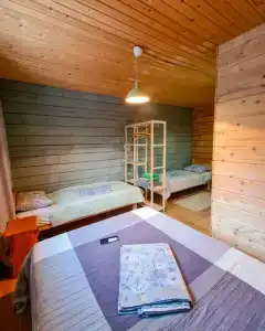 Горы и Сосны - 36