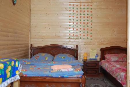 Избушка в Репном - 9