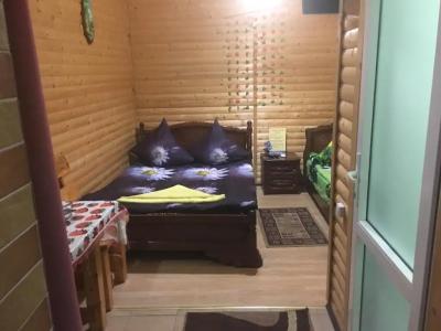 Избушка в Репном - 12