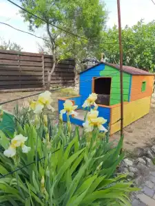 Старый Якорь - 12