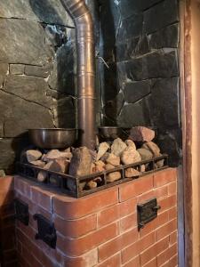 Пенеснарь - 102