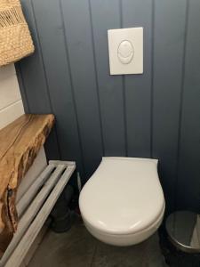 Пенеснарь - 101