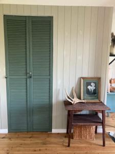 Пенеснарь - 91