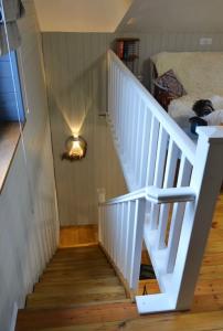 Пенеснарь - 96