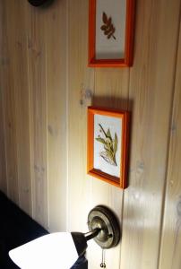 Пенеснарь - 95