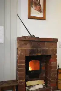 Пенеснарь - 99