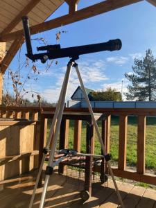 Пенеснарь - 107