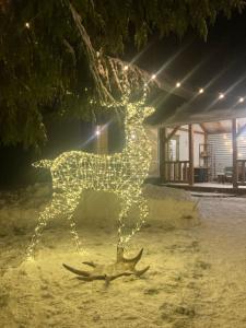 Пенеснарь - 106