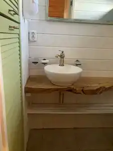 Пенеснарь - 100