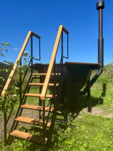 Пенеснарь - 84