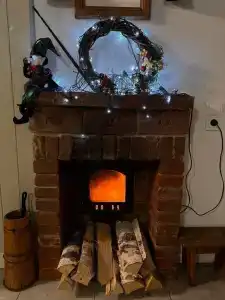 Пенеснарь - 113