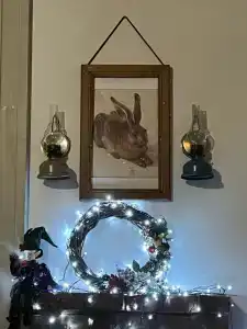 Пенеснарь - 82